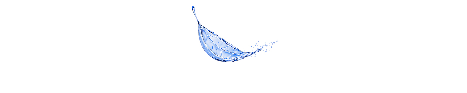 Water splash in the form of a leaf of a tree, isolated on white background
